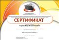 Сертификат участника  сетевого профессионального педагогического сообщества "NETFOLIO"